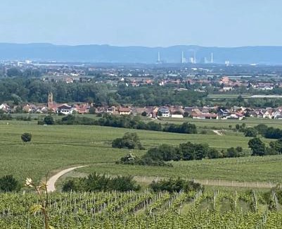 Ruppertsberg Apartment | Pfalzzimmer