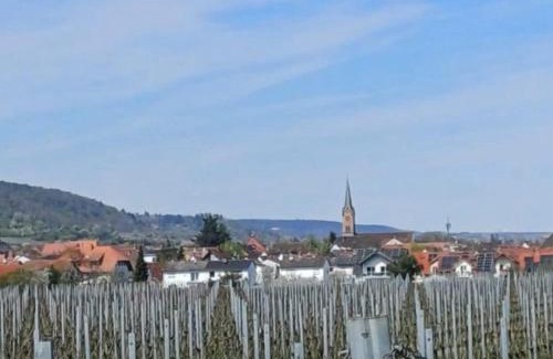 Ruppertsberg Apartment | Pfalzzimmer