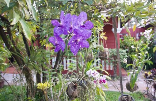Kampot Hotel | Phoumrumduol Bungalow