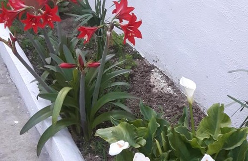 Francavilla al Mare Bed & Breakfast | pienosole B&B