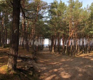 Kopalino House | Pieprz i WANILIA Kopalino domek z widokiem na las 3 pokoje parking taras WiFi - Wanilia