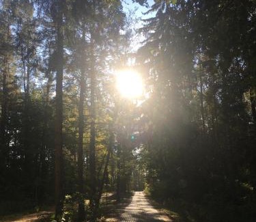 Kopalino House | Pieprz i WANILIA Kopalino domek z widokiem na las 3 pokoje parking taras WiFi - Wanilia