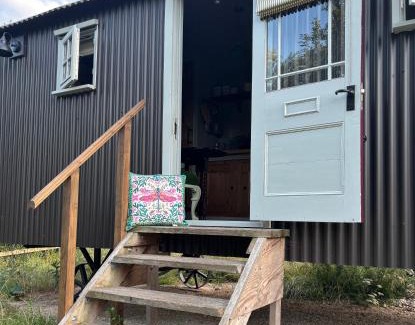 Castle Donington Other | PIGLET adult only shepherds hut
