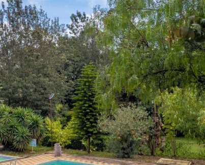 Nanyuki Apartment | Pine 2 bedroom apartment with a pool