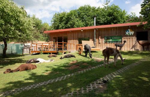 Pirk Ski Chalet | Pirker Anden Chalet