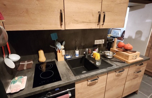 Puy-Saint-Pierre Apartment | PISTE edge. private SAUNA. station du SOLEIL. vault. March PROMO.