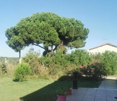 Salin-de-Giraud Apartment | Plages de camargue et logement dans un site calme de rêve