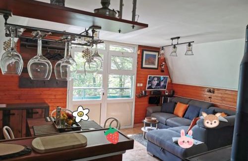 Zlobin Ski Chalet | Planinska vikendica LUCIJA