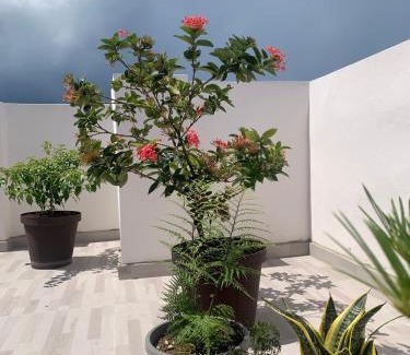 Monte Plata Apartment | Plataview Apartahotel apt 3A