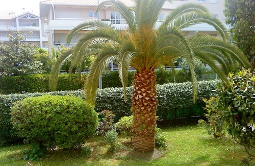 Anglet Apartment | Pleasant T2, 55 m2, for 4 people WIFI Fiber