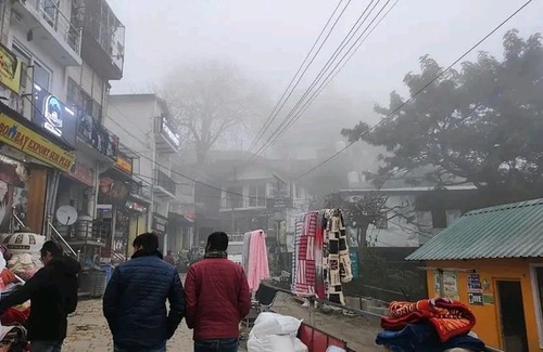 Kumarhatti Bed & Breakfast | PLEASING pine's # KASAULI VALLY#