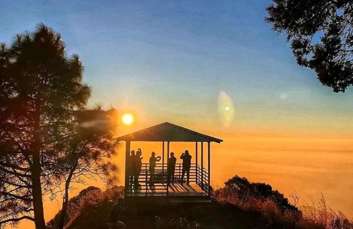 Kumarhatti Bed & Breakfast | PLEASING pine's # KASAULI VALLY#