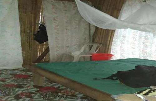 Tol House | PNGFE Nagu Home-stay & Tours