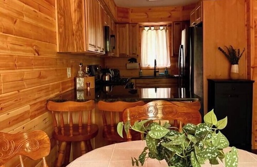 Briar Crest Woods House | Poconos Cabin | Lake, Fire Pit + Arcade Game