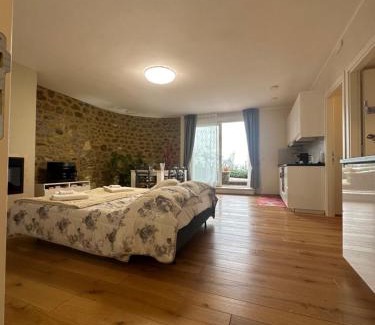 Montalcino Apartment | Podere Belsogno