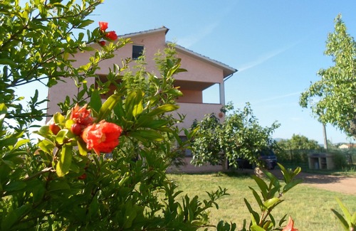 Lajatico House | PODERE BENEVENTO Carmen house in farmhouse, exclusive terrace (40 sq m) and swimming pool