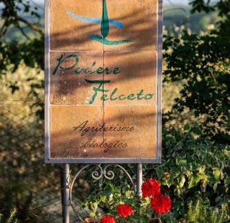 Greve in Chianti House | Podere Felceto