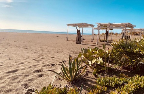 Ravi Apartment | Podere L'Orsinghi in Ravi mit fantastischer Aussicht auf die Hügel der Maremma, Schwimmbad und Garten. Haustiere erlaubt. Kinderfreundlich