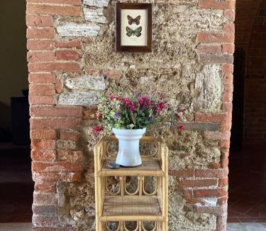Rapolano Terme House | Podere La Chiusella B&B