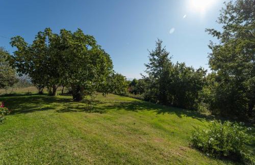 Canonica Bed & Breakfast | Poggio delle Ginestre