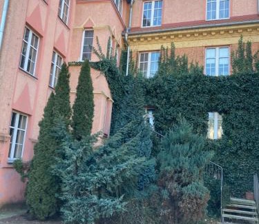 Centrum Bed & Breakfast | Pokój Miejski