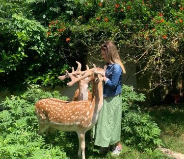 Polonezkoy Resort | Polonezköy Country Club & Accommodation in the Wildlife Park!