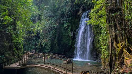 Melayang Cabin | Pondok D Angga Tampaksiring