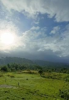 South Andaman District Bed & Breakfast | Port Begusarai