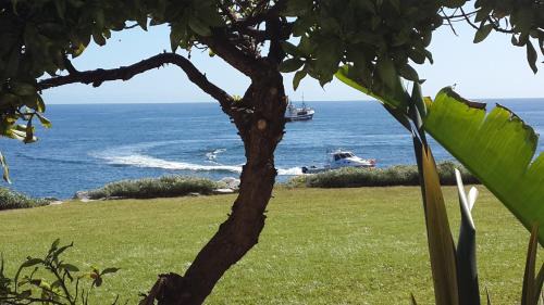Saint Francis Bay House | Port Main Royal Ocean's Edge