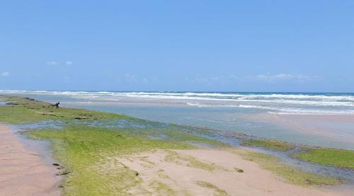 Taiba House | Portal Vida chalé na praia da Taiba