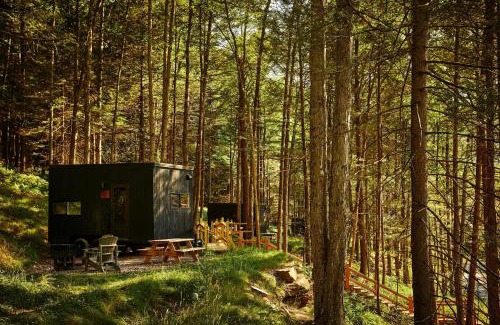 Catskill Other | Postcard Cabins Eastern Catskills, Outdoor Collection by Marriott Bonvoy