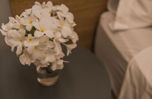 Floresta Velha Hotel | Pousada Corveta