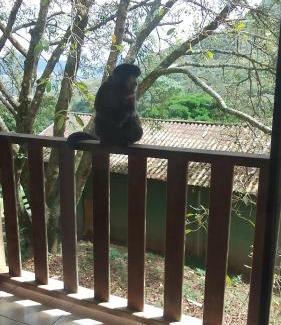 Pocos De Caldas Hotel | Pousada Pé da Serra