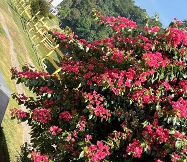 Guararema House | POUSADA PE NA TERRA EM GUARAREMA