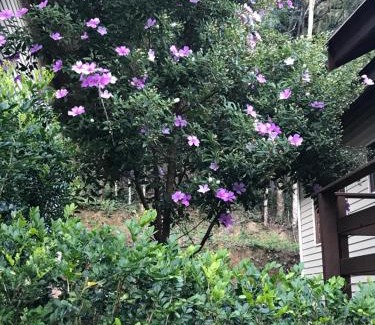 Mairipora Apartment | POUSADA SuaCasita - 5 LAGOS