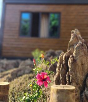 Cavalcante House | Pousada Vilas Boas