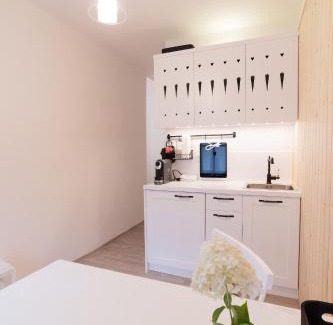 Srednja Vas v Bohinju Apartment | Pr`Mružo apartmaji