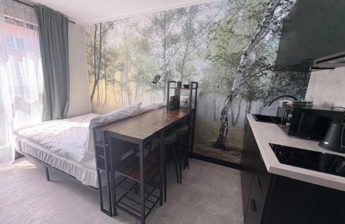 Praga Poludnie Apartment | Praga Studio Apartments