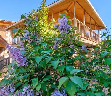 Casarrubios del Monte Villa | Preciosa villa para grupos grandes con piscina y BBQ