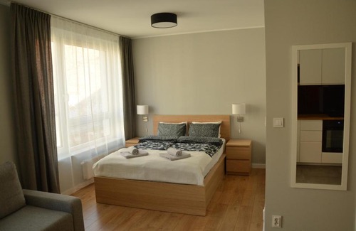 Wilda Apartment | Premium Apartament CityCenter - MTP/PKP + parking