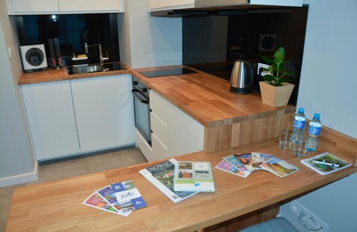 Wilda Apartment | Premium Apartament CityCenter - MTP/PKP + parking