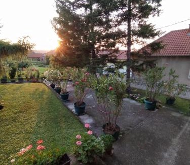 Golubac House | Prenoćište Aleksandar