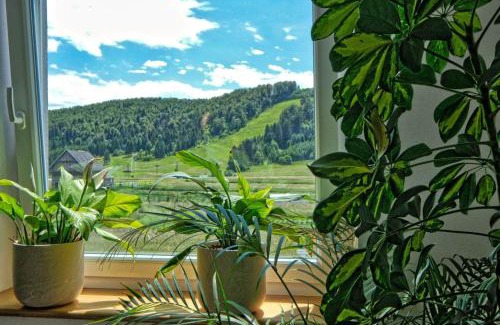 Velike Bloke House | Prenočišča Miklavčič