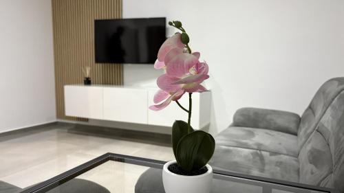 Prvacina Apartment | Pri Drevoredu