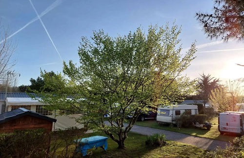 Les Moutiers-en-Retz House | Prigny Campsite* - Ecolodge 3 Rooms 4 People Without sanitary facilities
