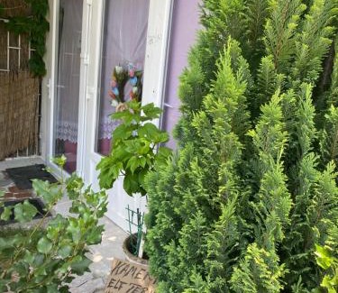 Budaors House | Privat szobak 3