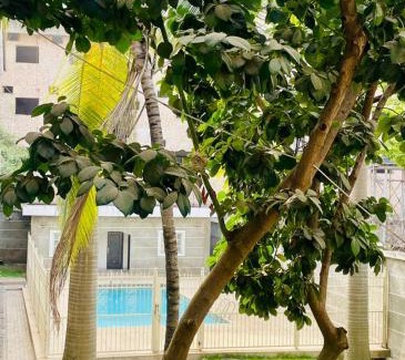 Abuja Apartment | Private 1 Bedroom Studio in Abuja with Pool, Balcony, Garden