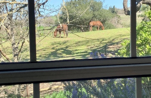 Los Olivos Cottage | Private 2 Story Cottage - Walk to Los Olivos!