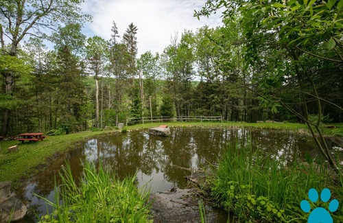 Prattsburgh Cabin | Private cabin and waterfall nestled among the hills!