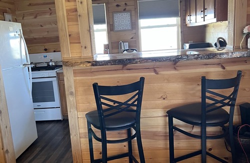 Geneva-on-the-Lake Cabin | Private cabin that sits on fenced in one acre lot. (Dog friendly)